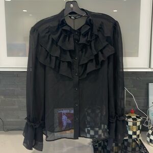 Zara Blouse   black long sleeve 100 polyester  new med.